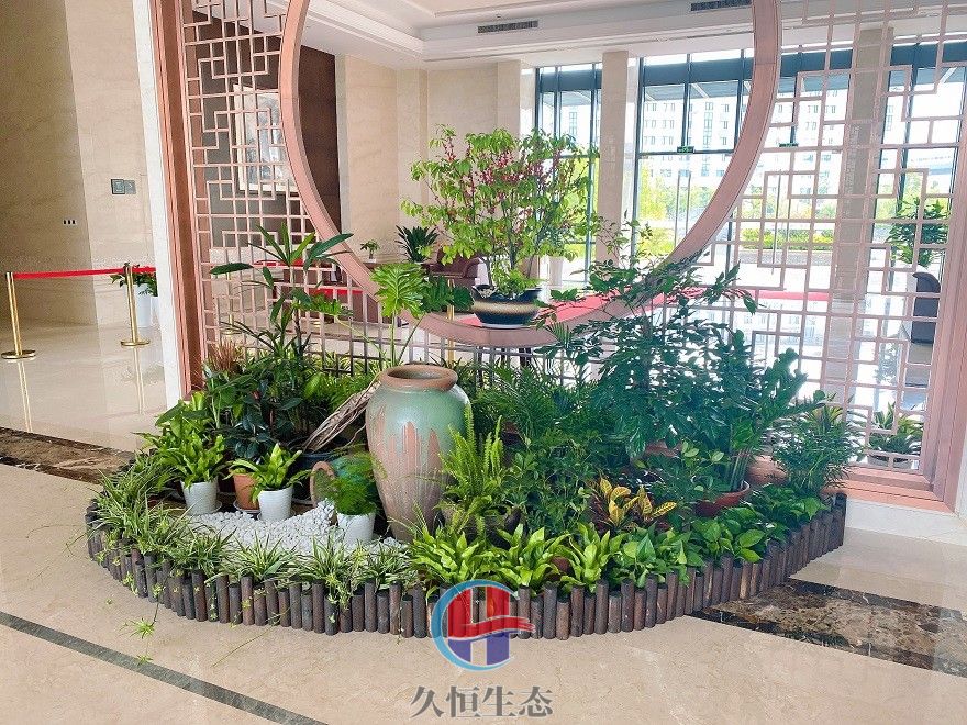 宁波北仑企业大厅组合花卉绿植摆放