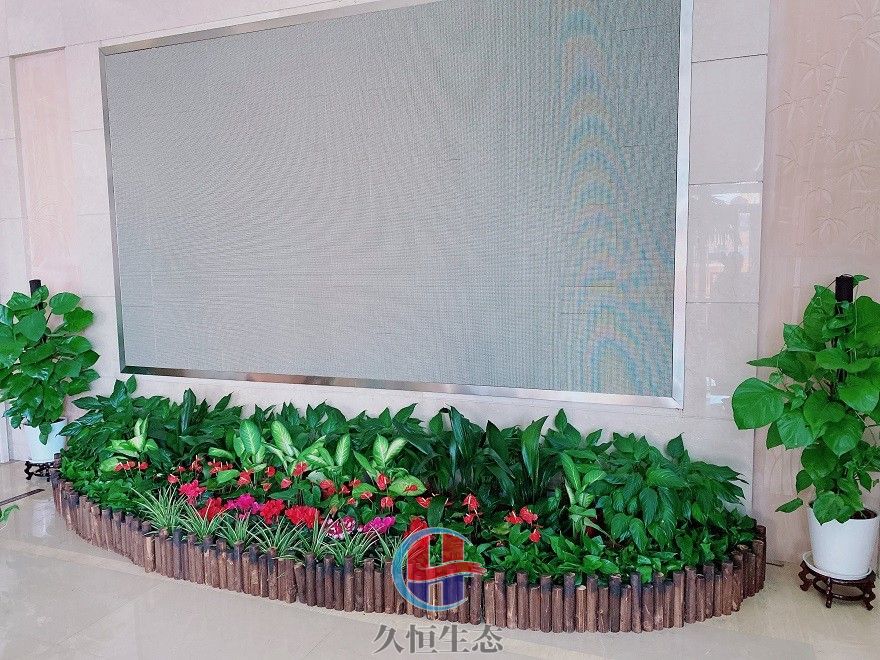 宁波北仑企业大厅显示屏组合花卉绿植摆放