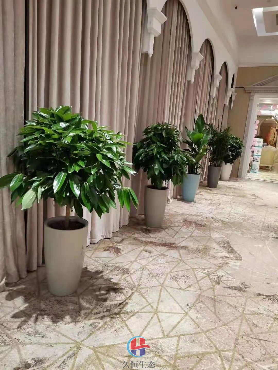 宁波北仑酒店走廊花卉绿植摆放