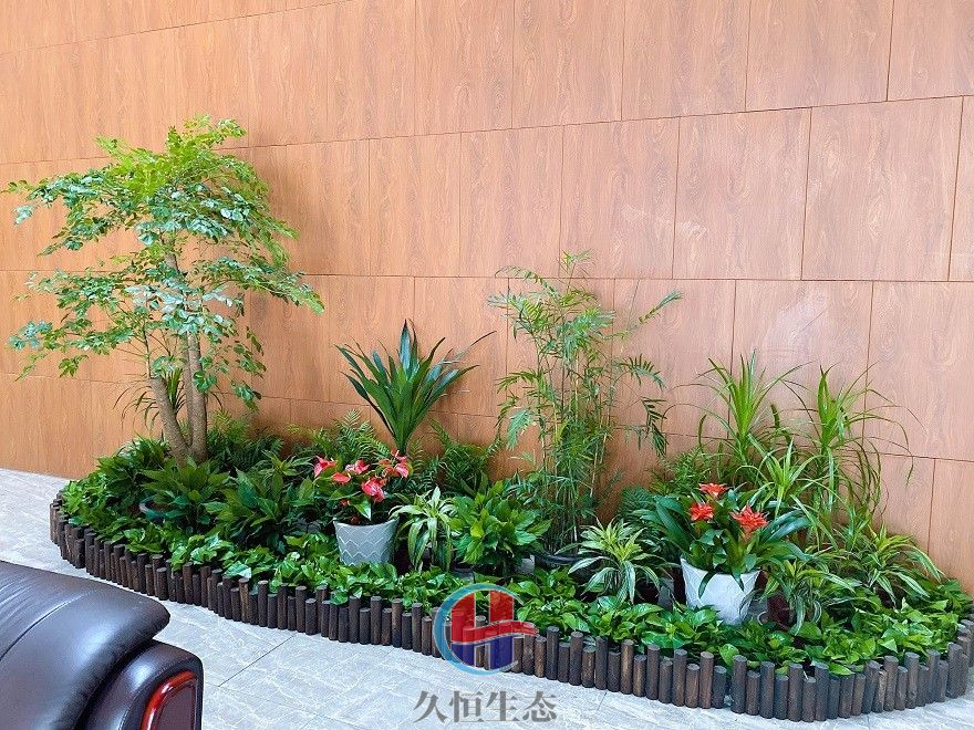 宁波北仑大厅多个花卉品种造景3